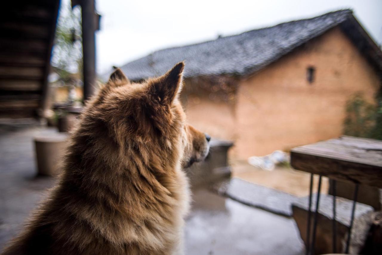 Ma Le Homestay Dong Van  Exteriér fotografie