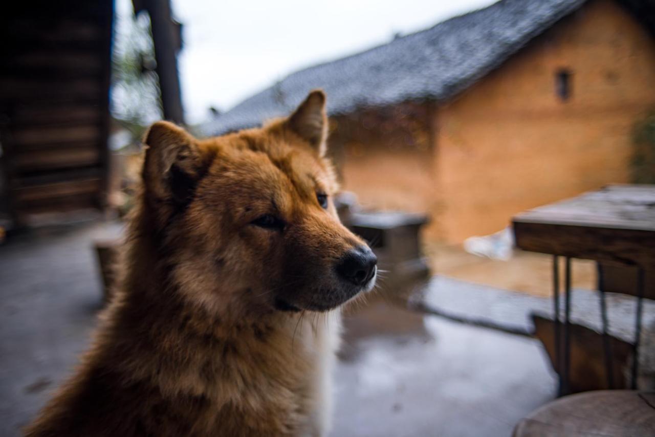 Ma Le Homestay Dong Van  Exteriér fotografie